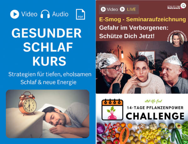 Bonus-Programme im Überblick